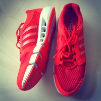 nike flex contact 2 pantip