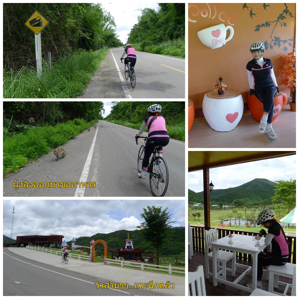 รูปภาพ
