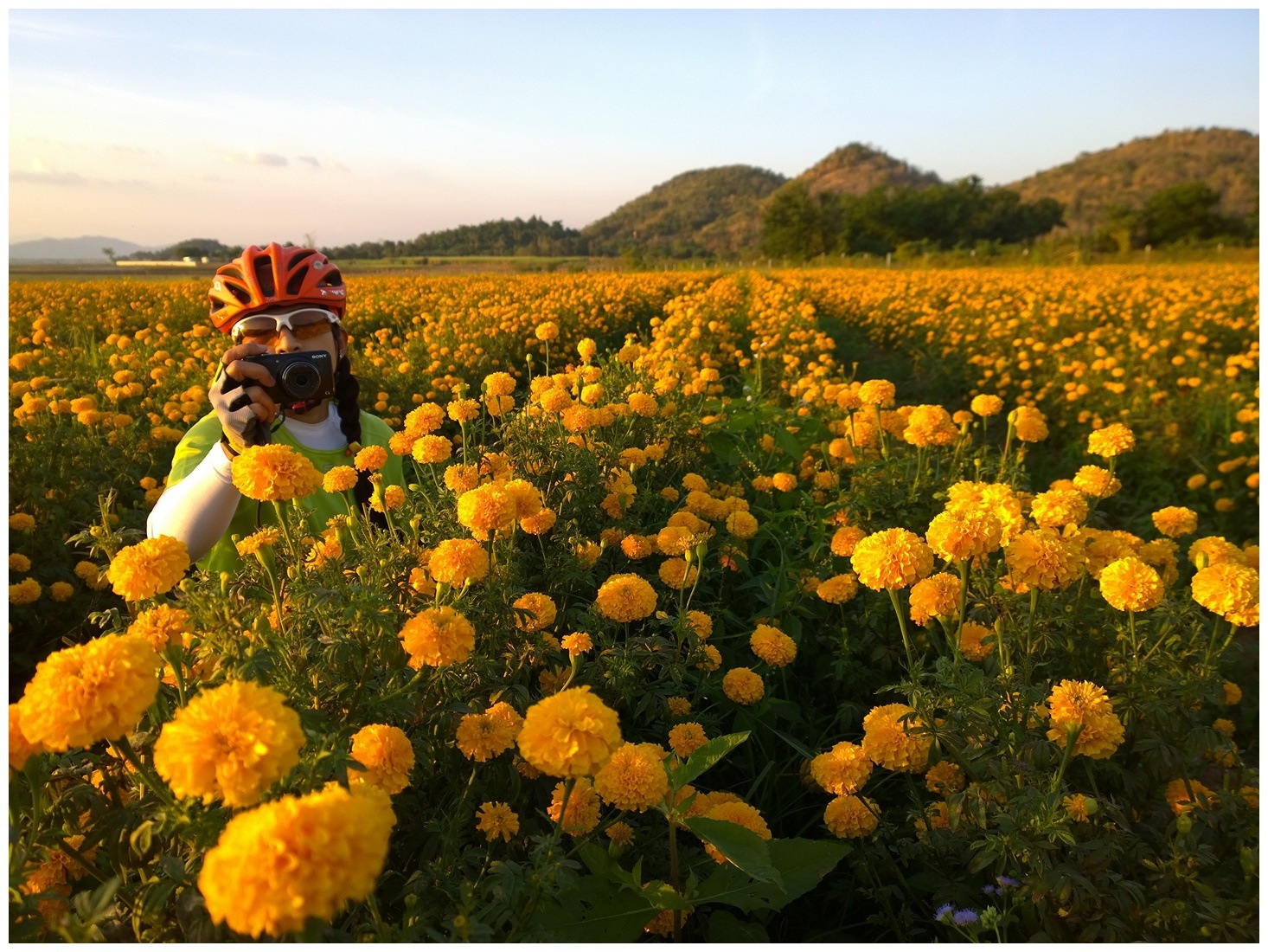 รูปภาพ