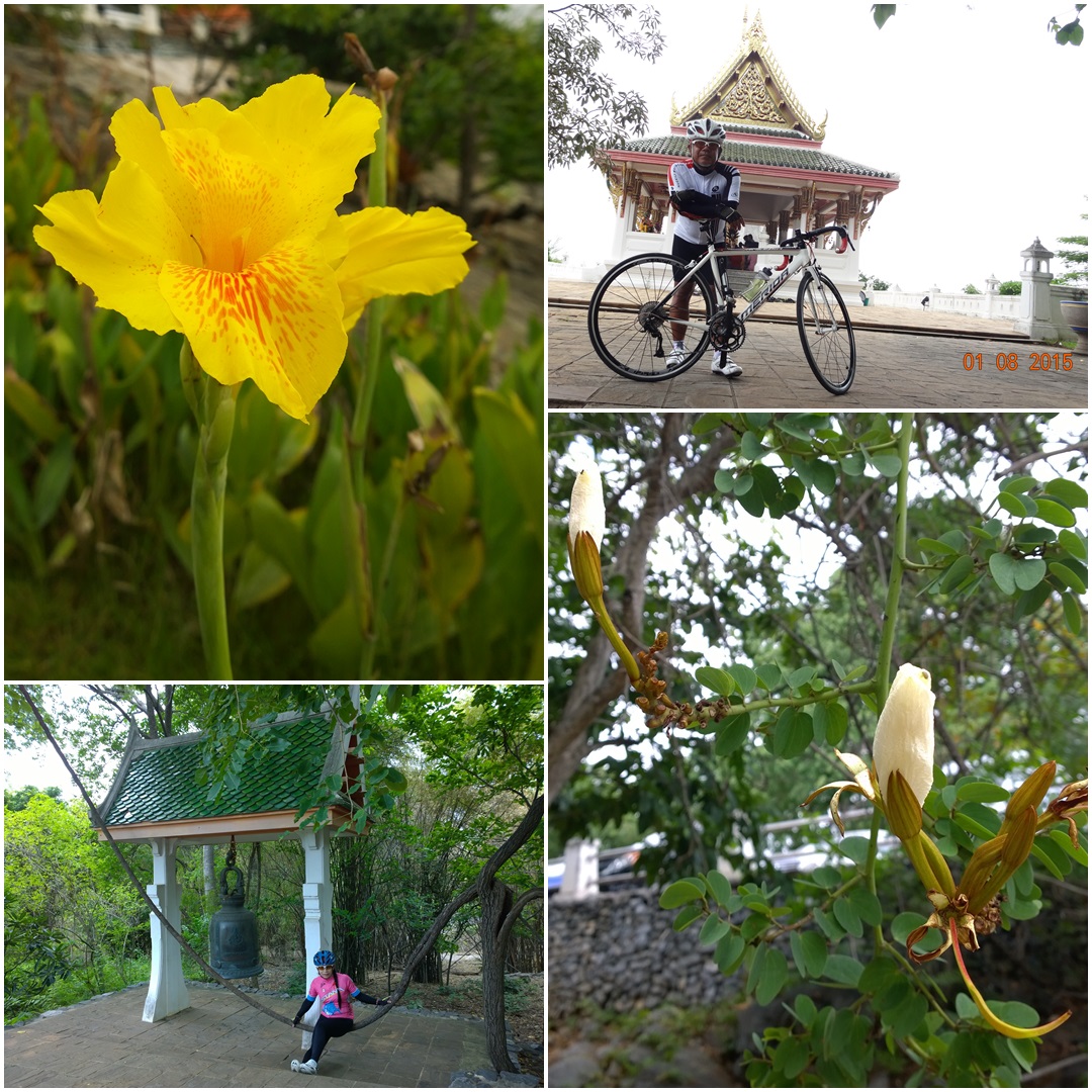 รูปภาพ