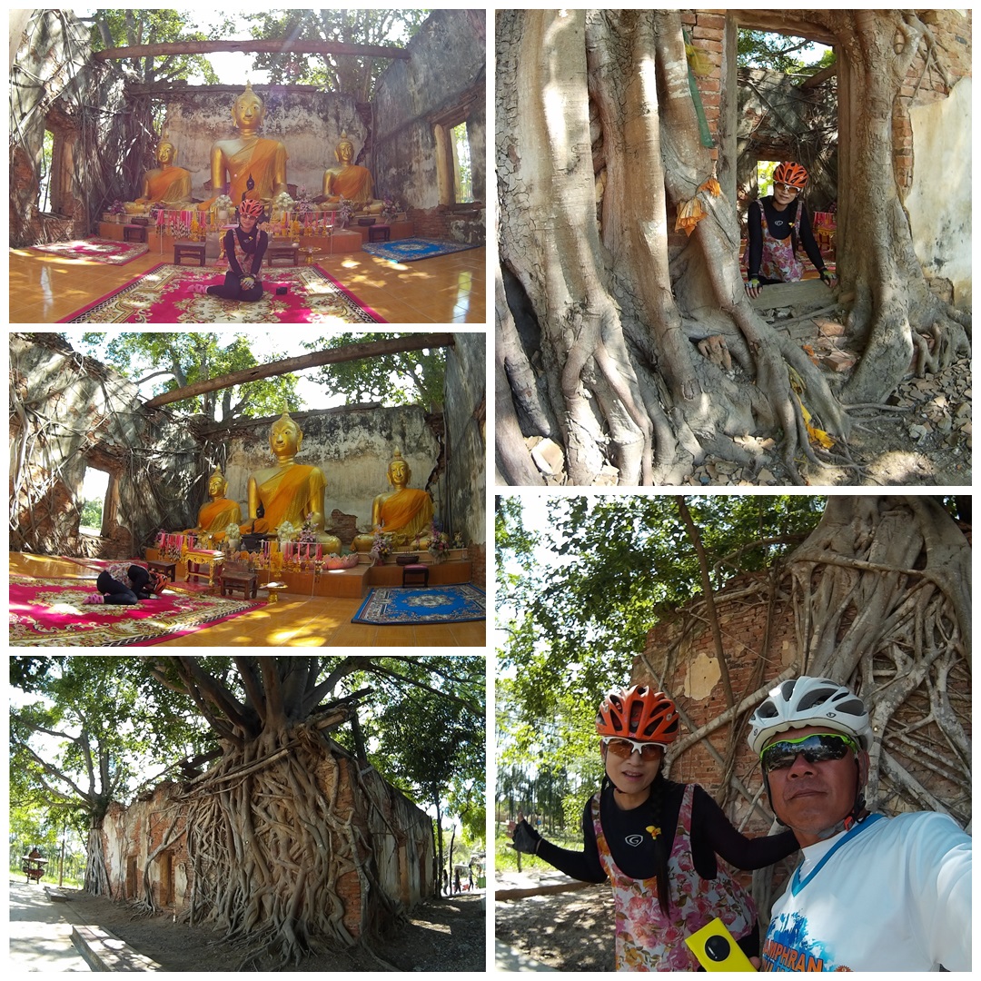 รูปภาพ