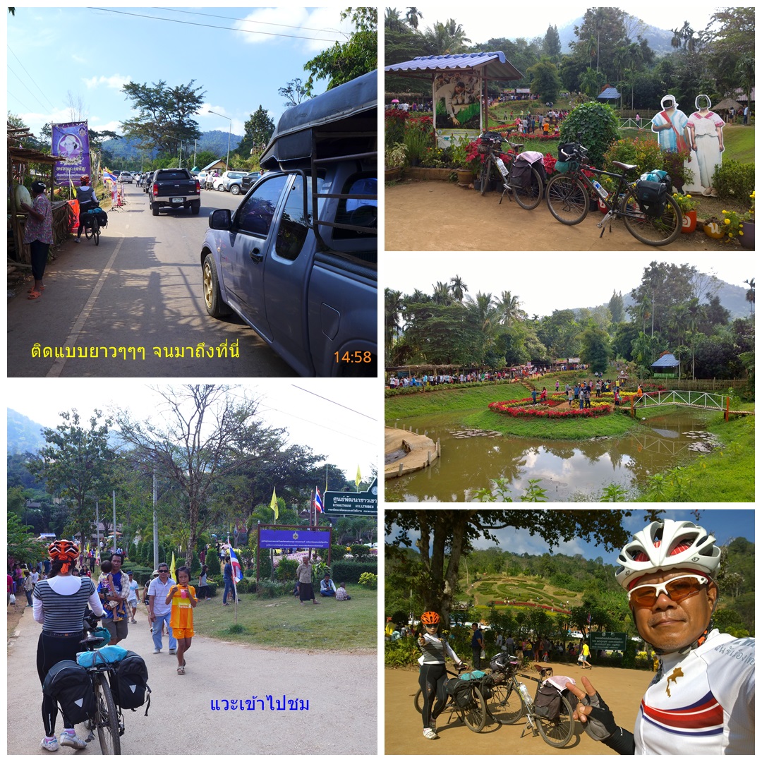 รูปภาพ