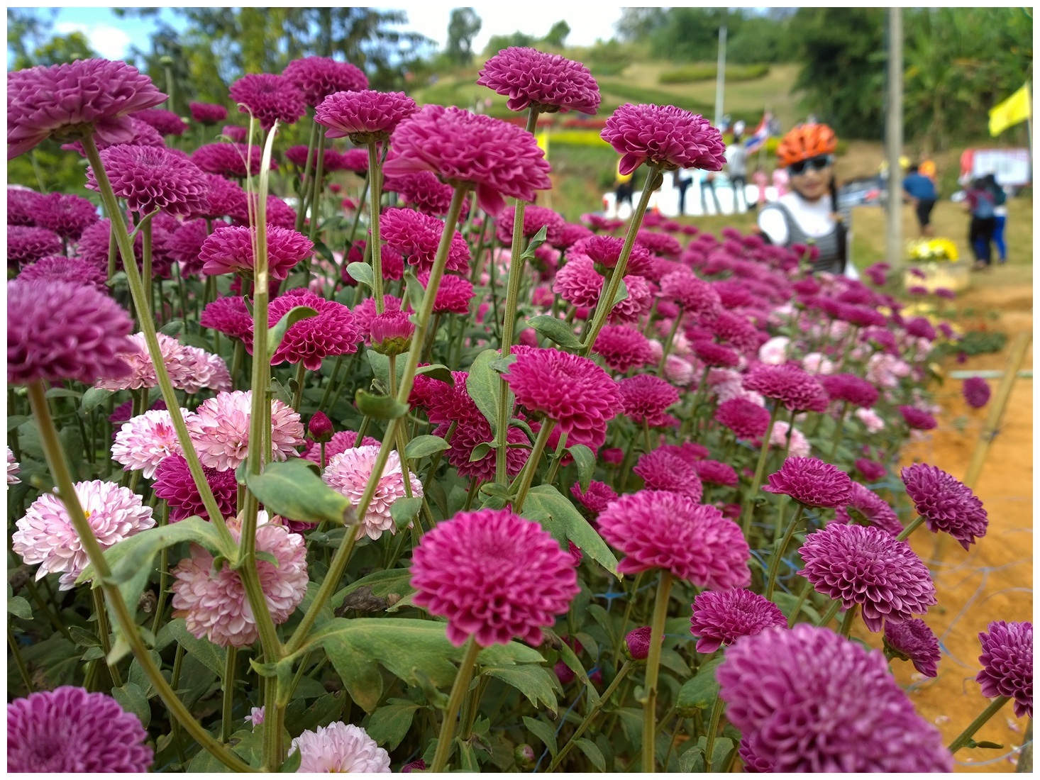รูปภาพ