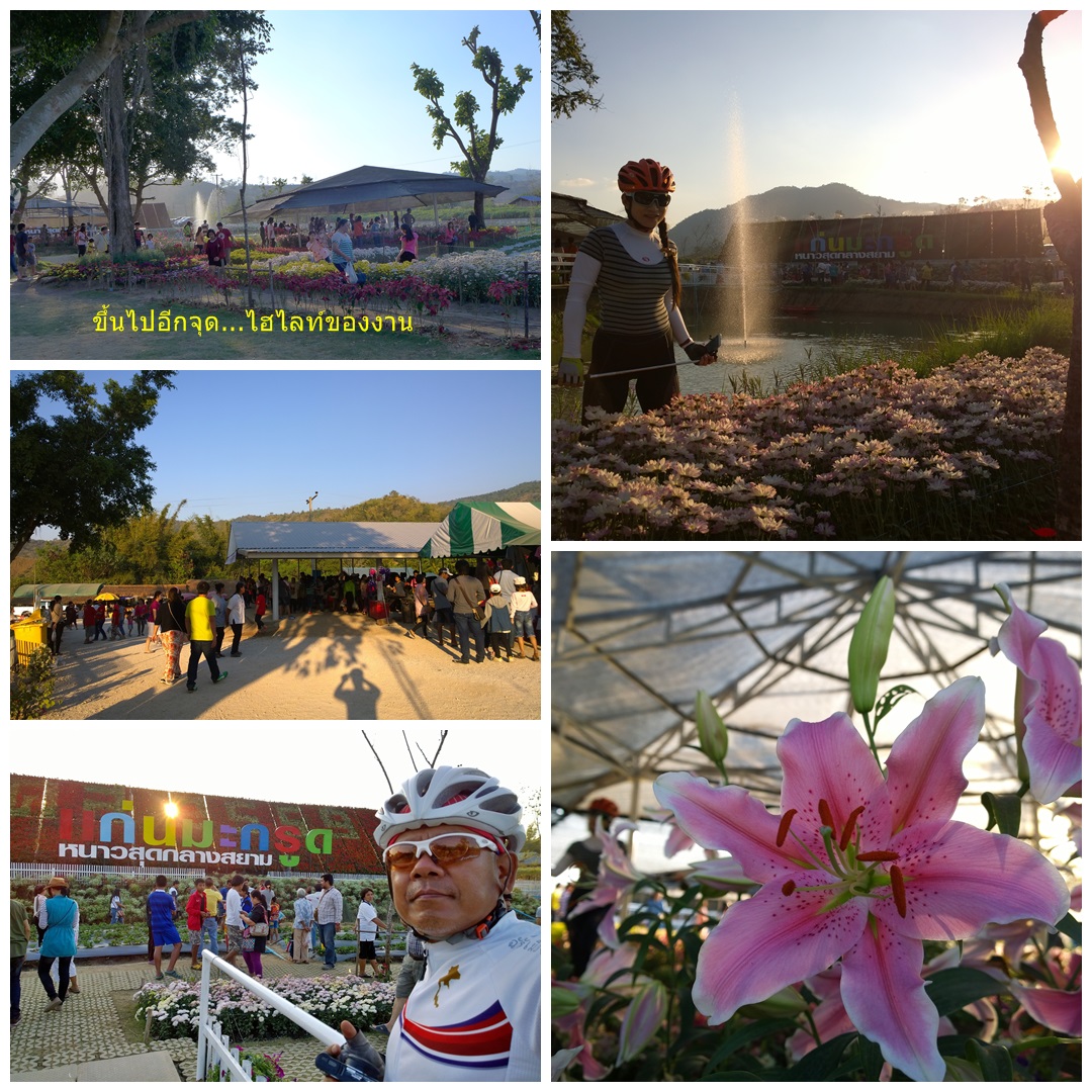 รูปภาพ