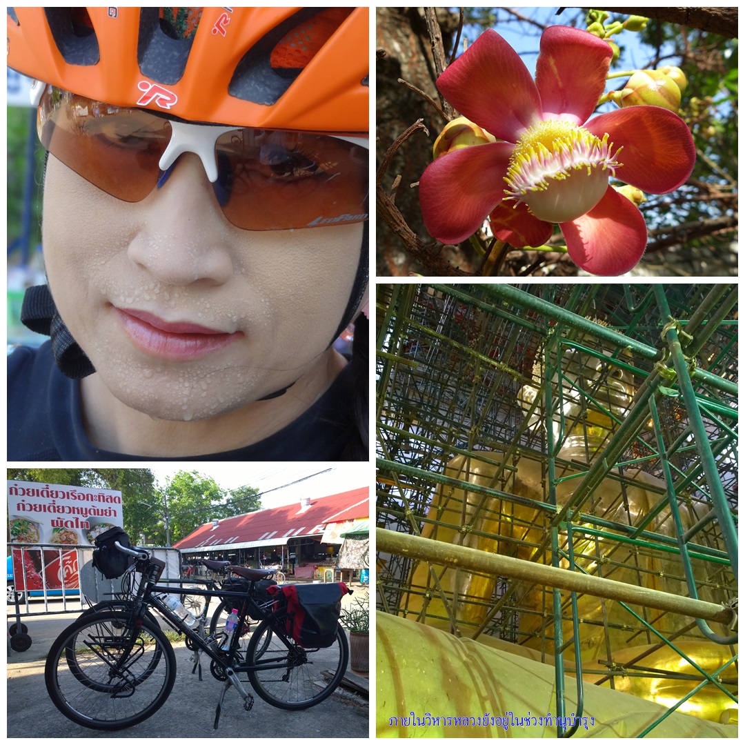 รูปภาพ