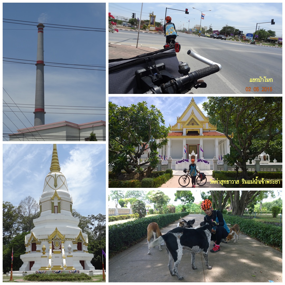 รูปภาพ