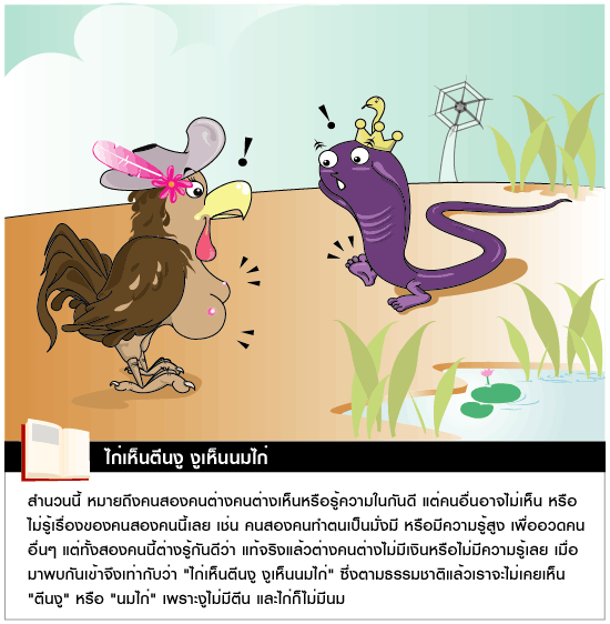 รูปภาพที่เกี่ยวข้อง