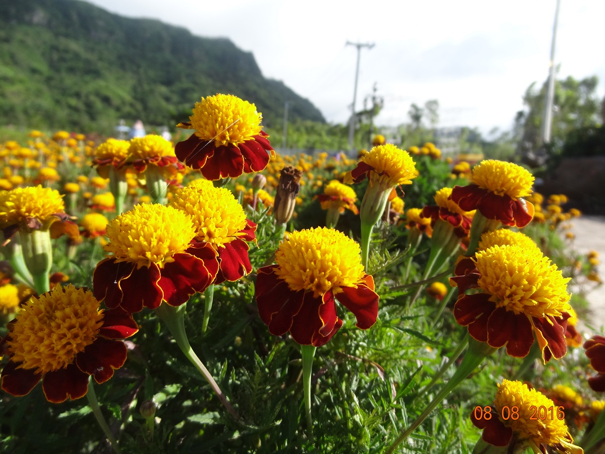 รูปภาพ