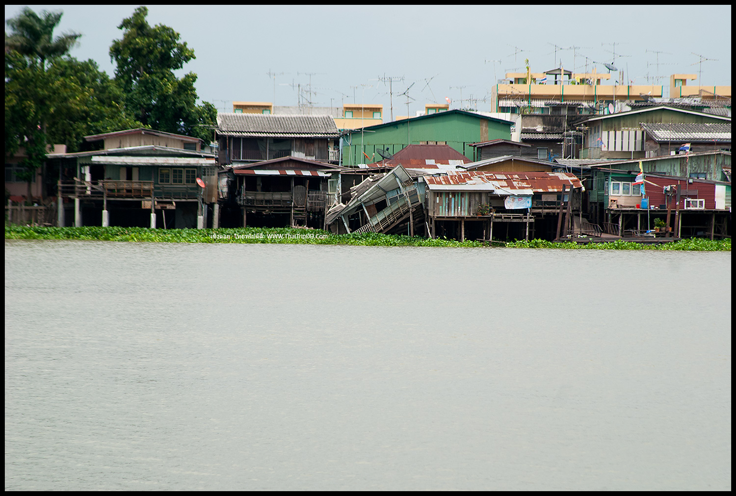 รูปภาพ