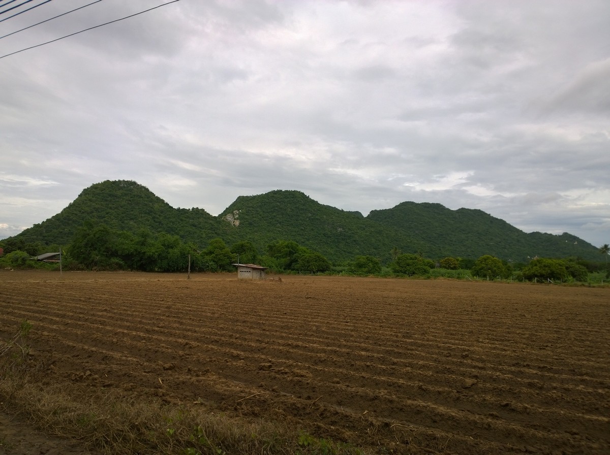 รูปภาพ
