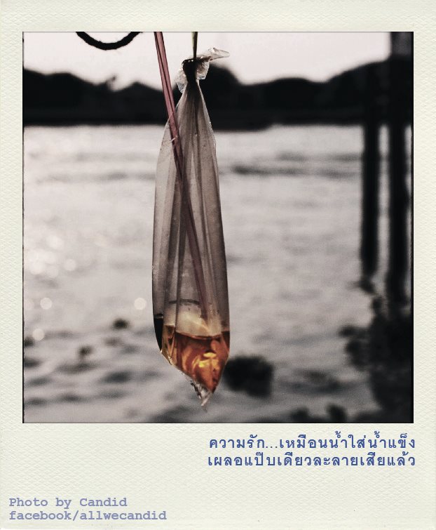 My Image 51