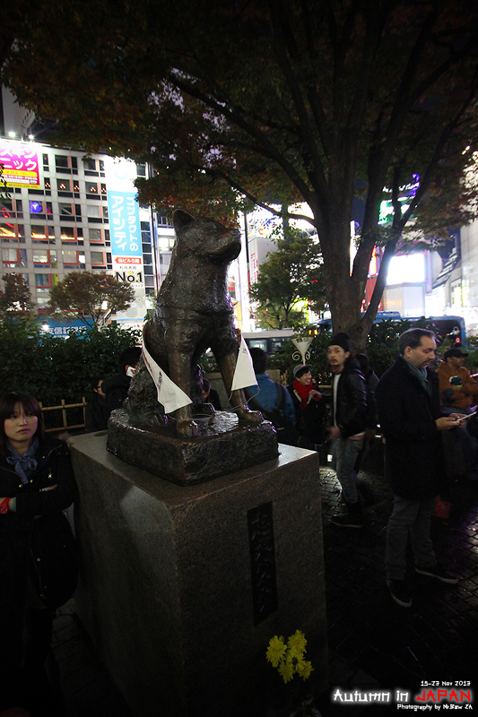 1403180864-IMG01371-o.jpg