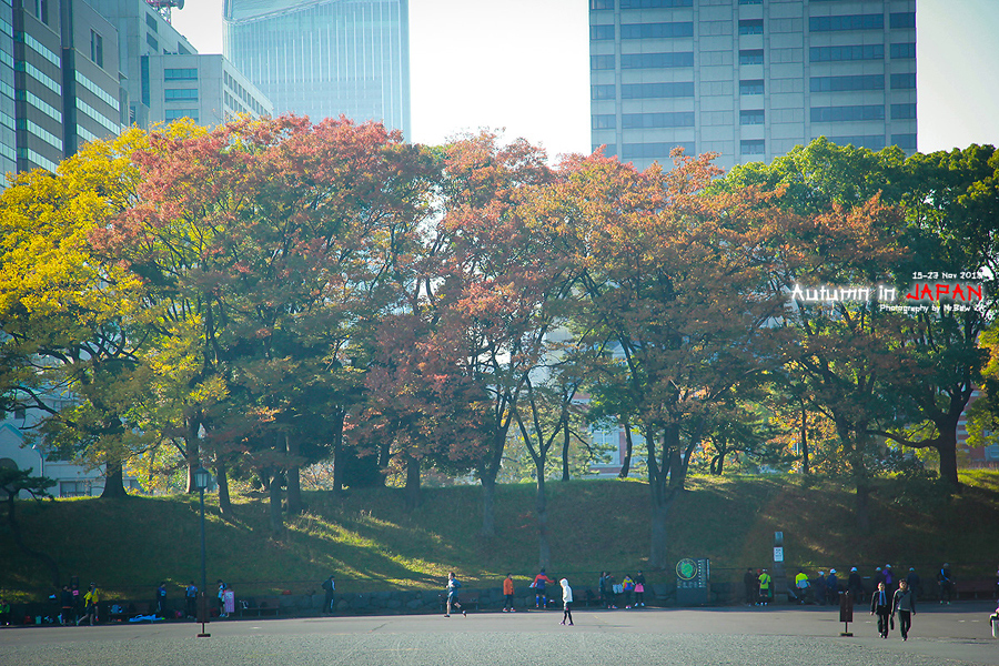 1403181614-IMG02731-o.jpg