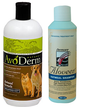Aloveen Avoderm Pantip