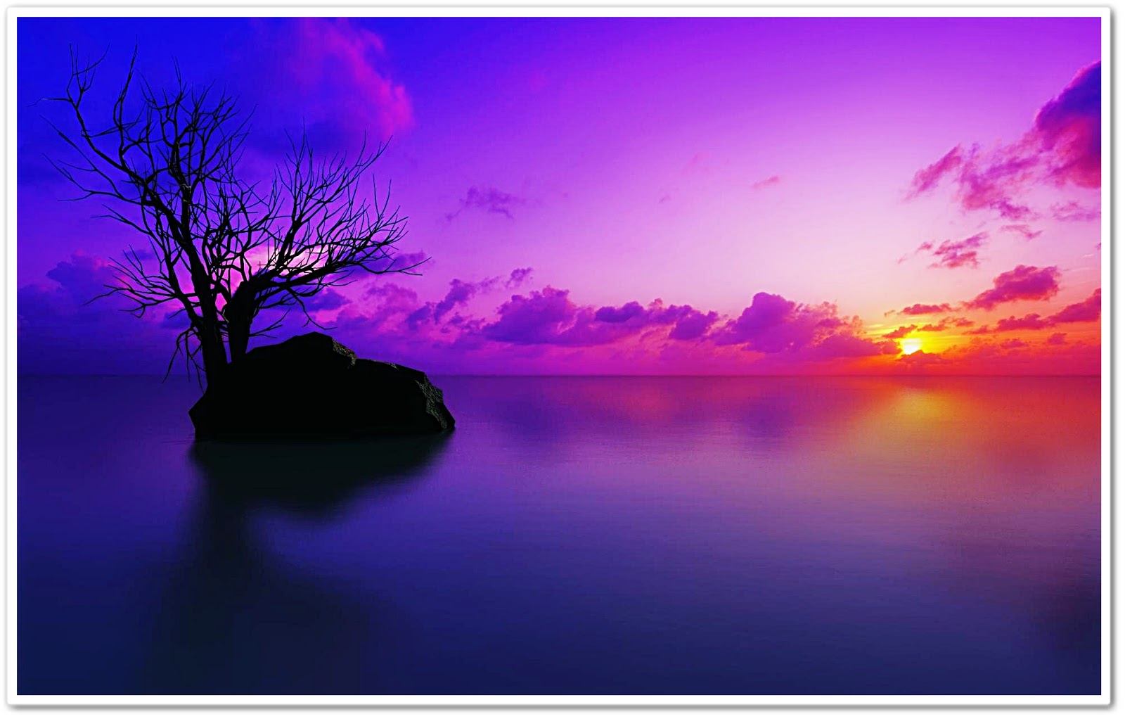 Posted Image