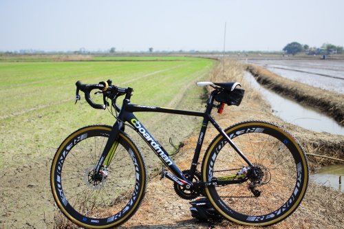 รูปภาพ