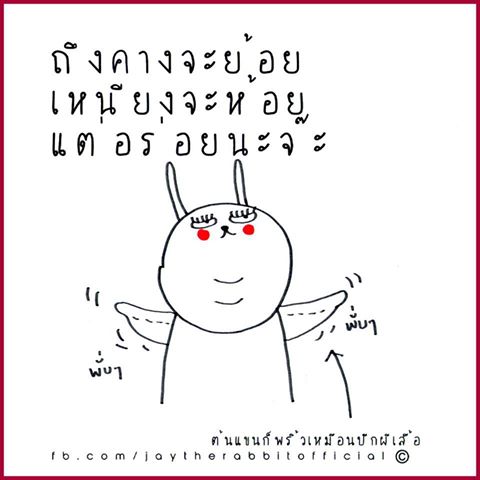 วิธีลดความอ้วน กับผลไม้ 6 ชนิดที่กินแล้วไม่อ้วน !