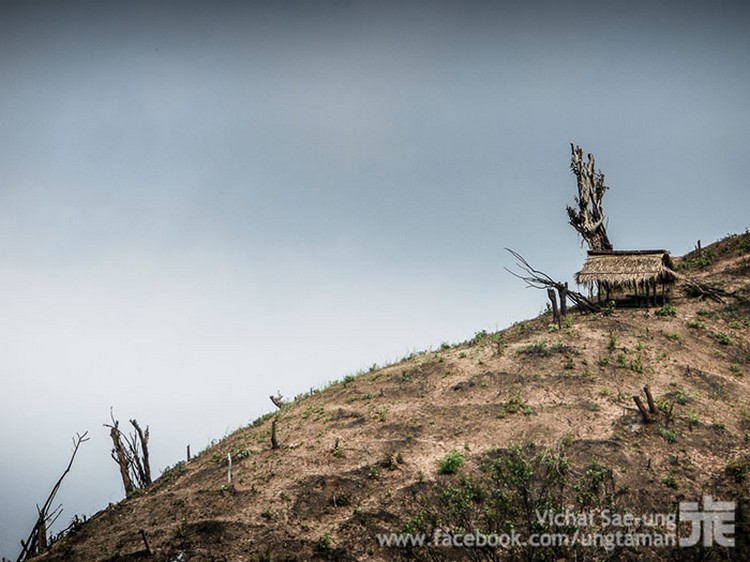 รูปภาพ