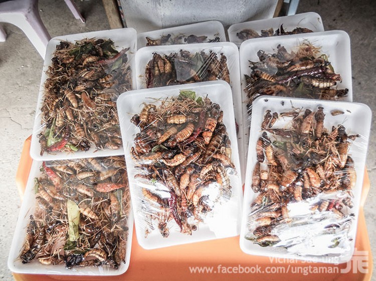 รูปภาพ