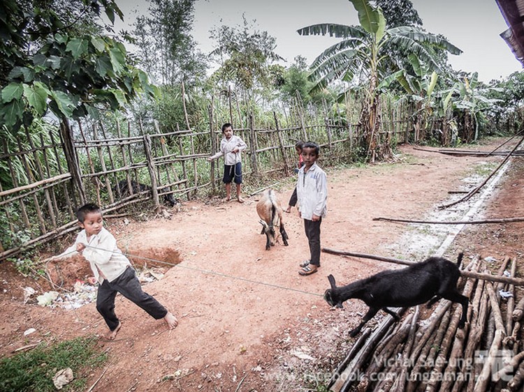 รูปภาพ