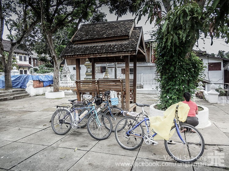 รูปภาพ