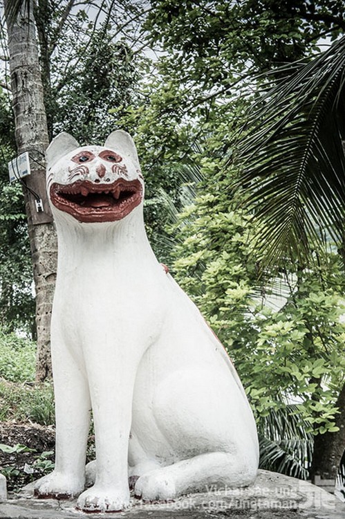 รูปภาพ