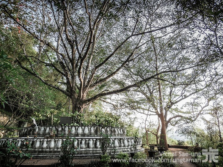 รูปภาพ