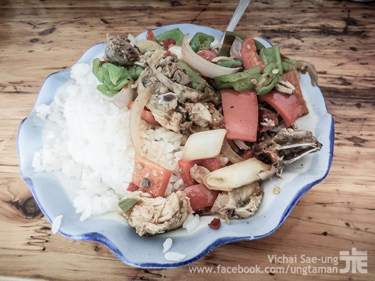 รูปภาพ