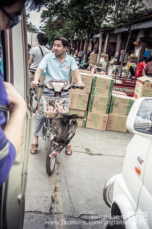 รูปภาพ