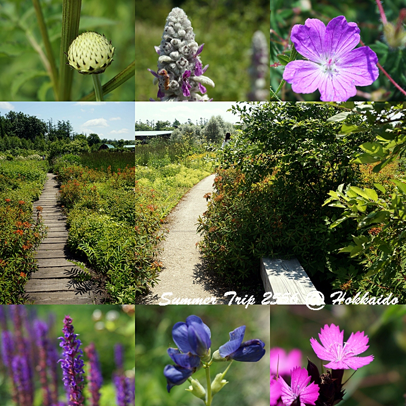 Hokkaido Garden Path