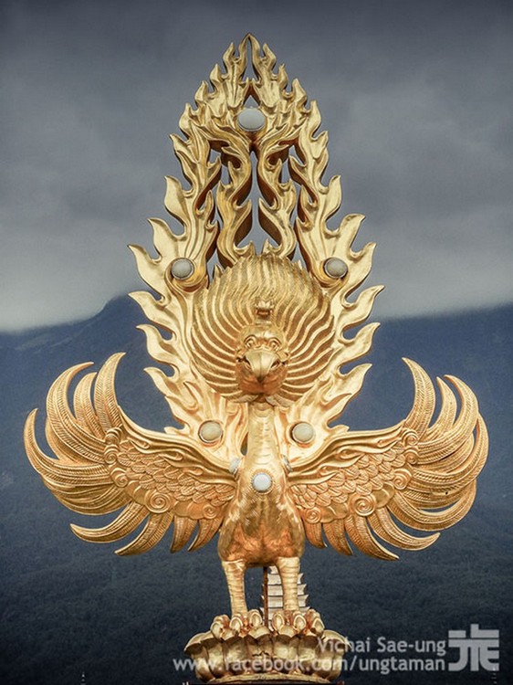 รูปภาพ
