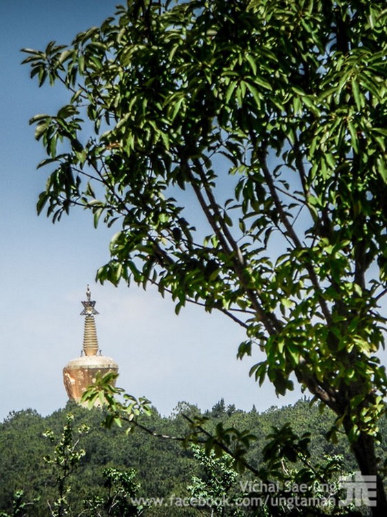รูปภาพ
