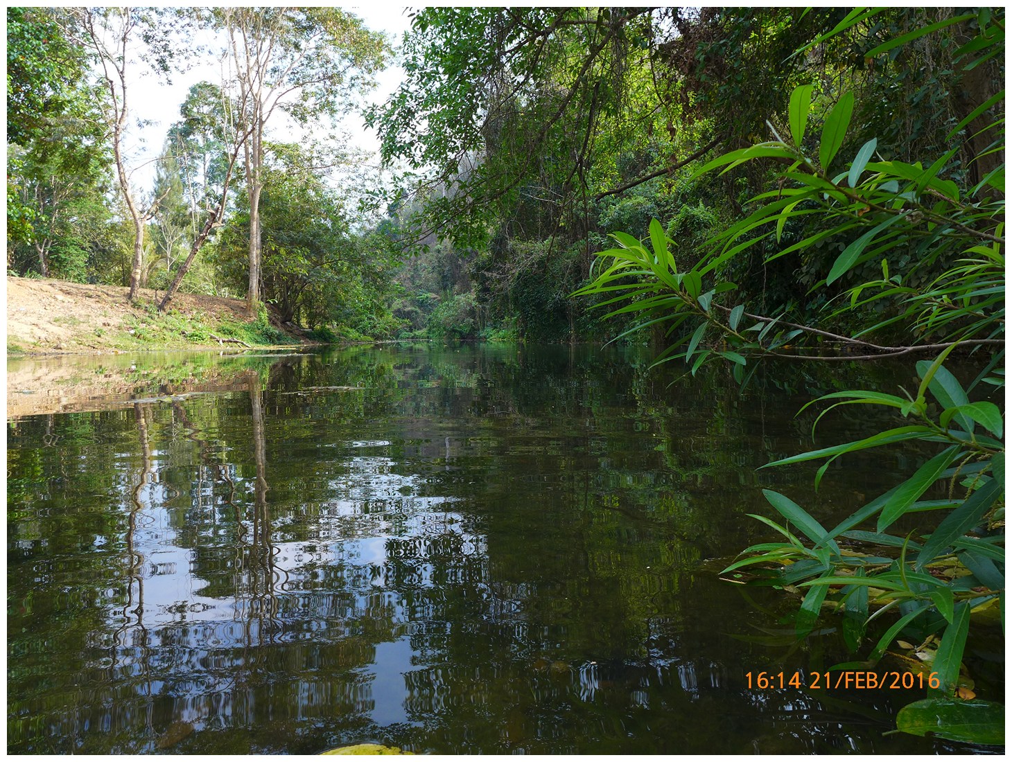 รูปภาพ