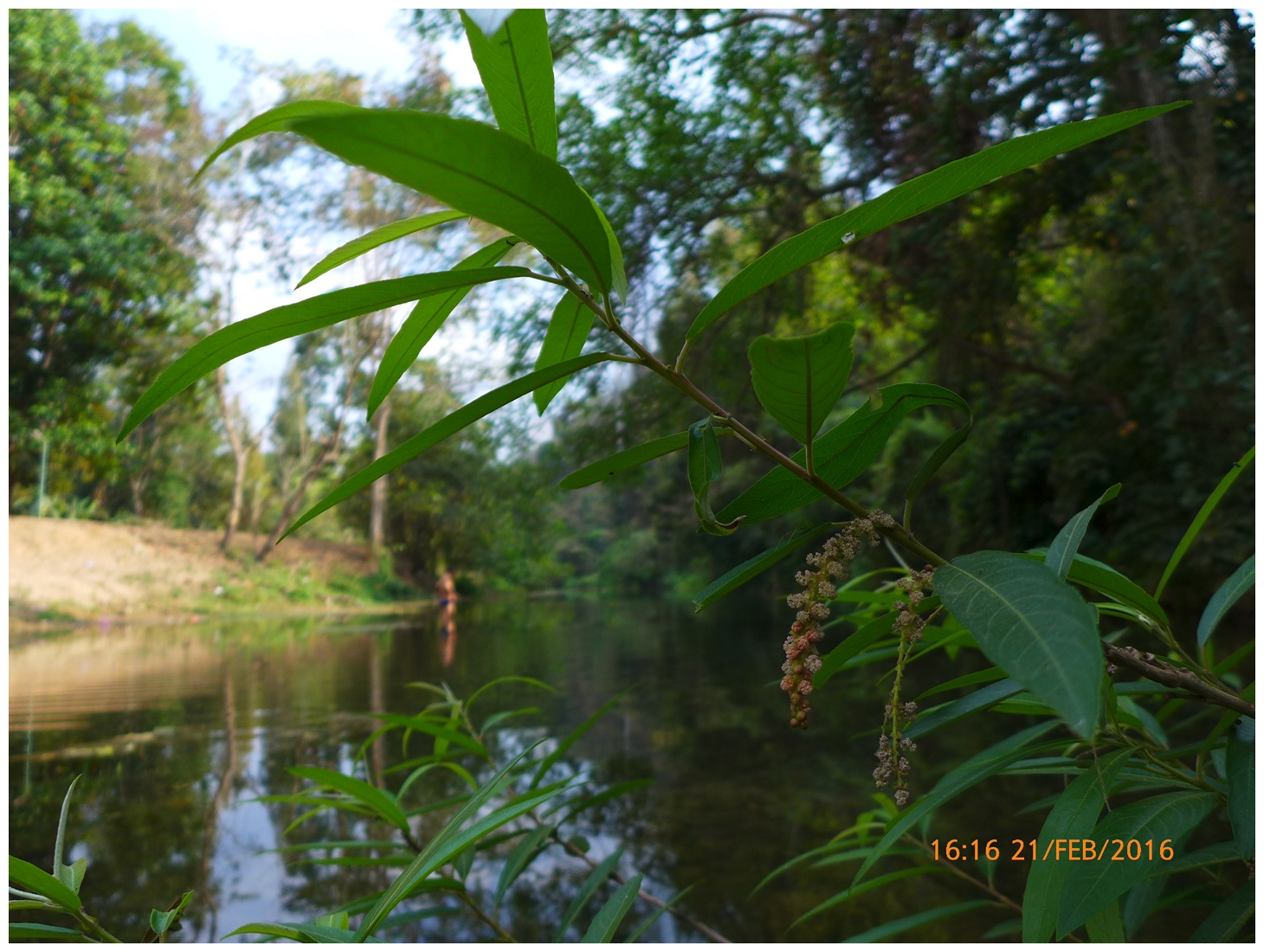 รูปภาพ