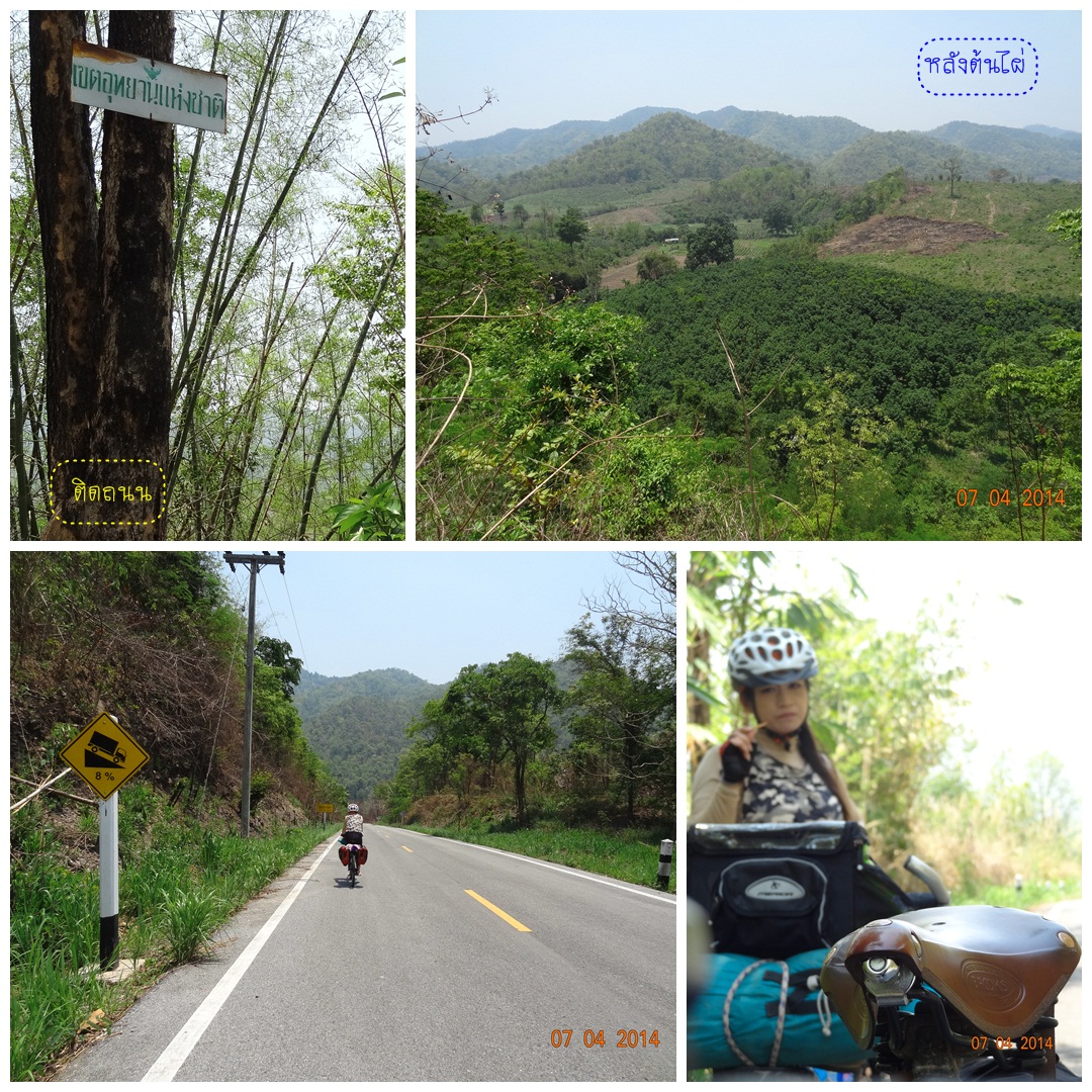 รูปภาพ