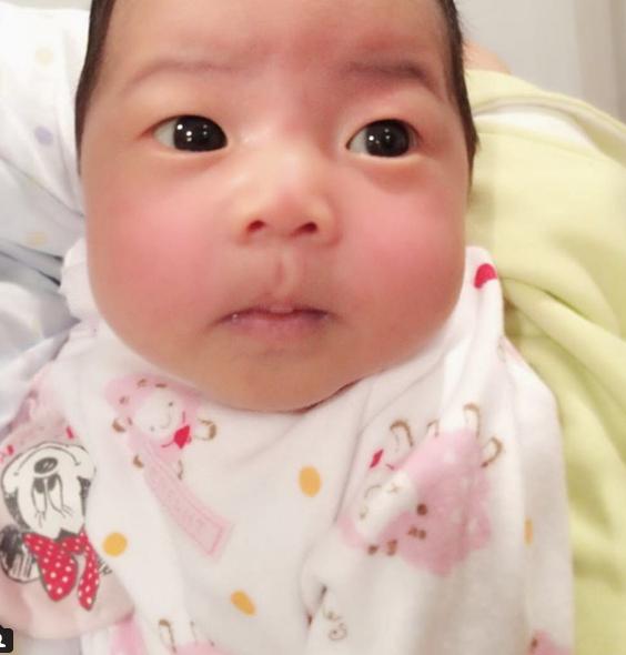 เป่าเปา
