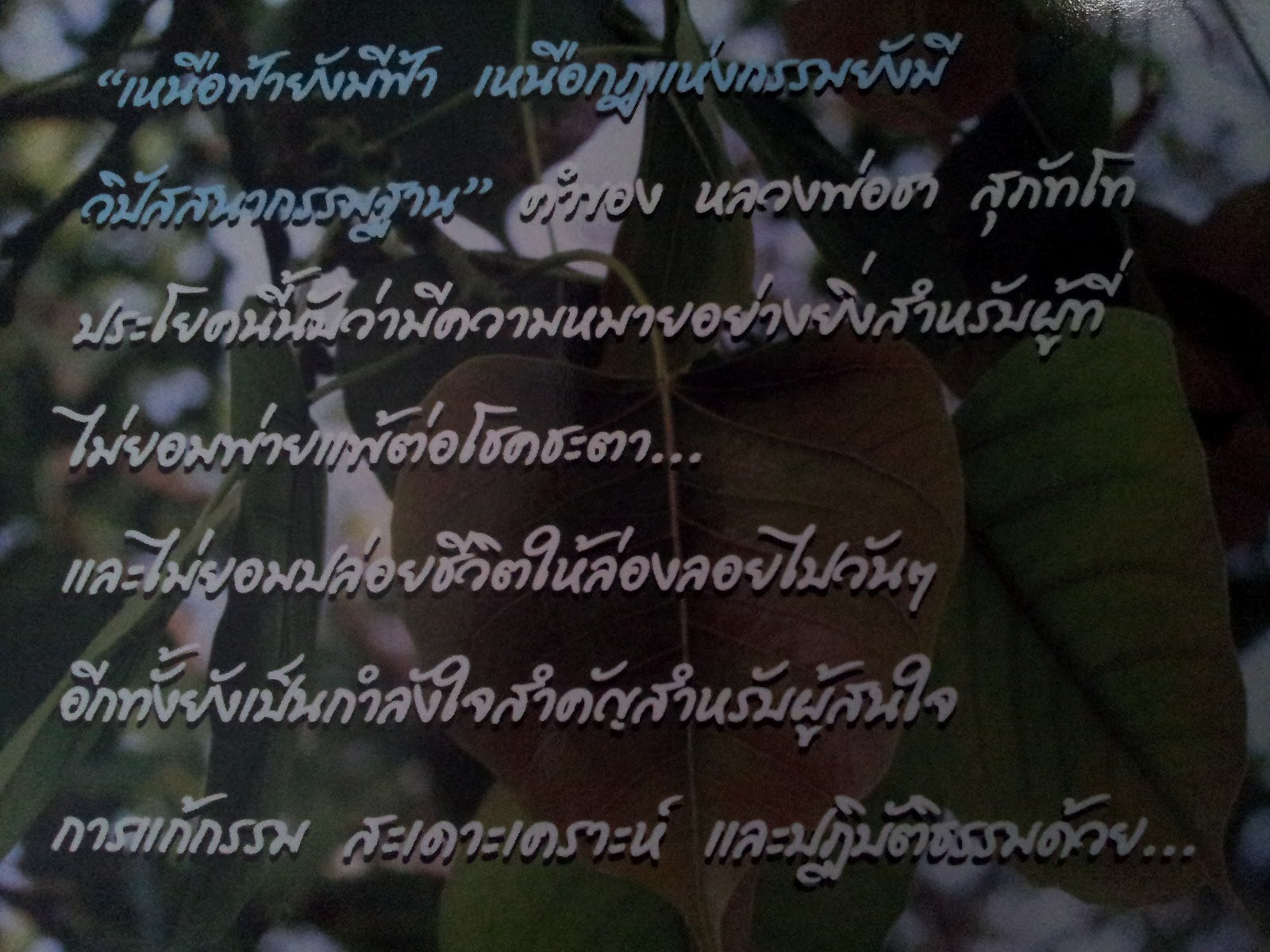 รูปภาพ
