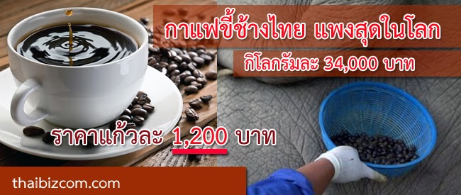 กาแฟขี้ช้างไทย กาแฟที่แพงที่สุดในโลกขณะนี้ Dek