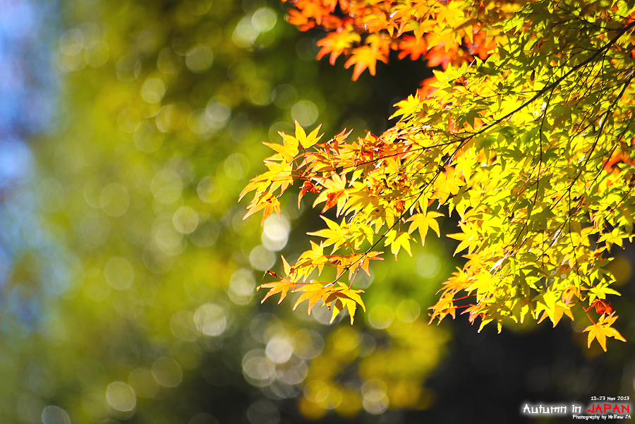 1404128768-A1-o.jpg