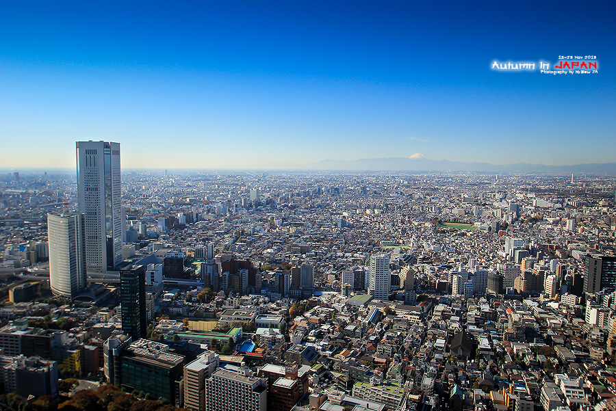 1404135594-IMG2897-o.jpg