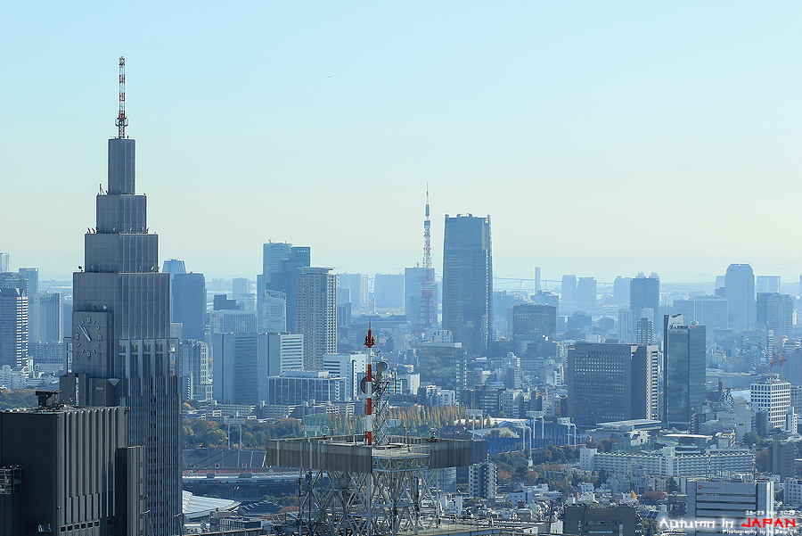 1404135694-IMG2932-o.jpg