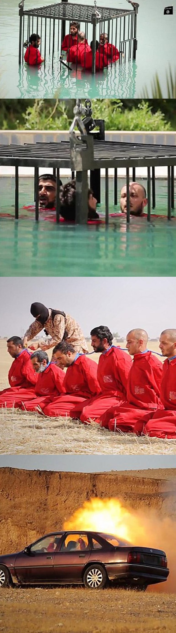 Isis pantip