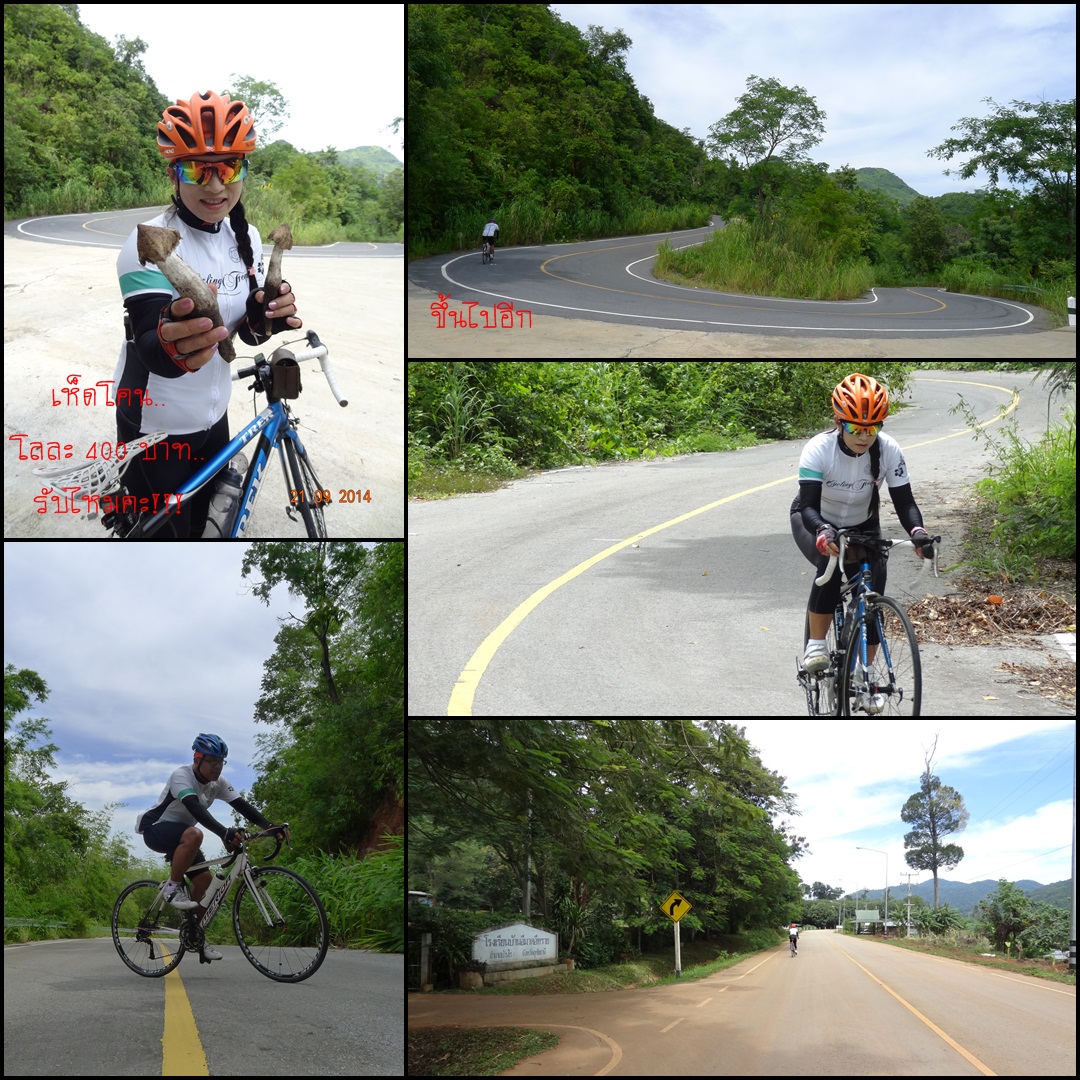 รูปภาพ