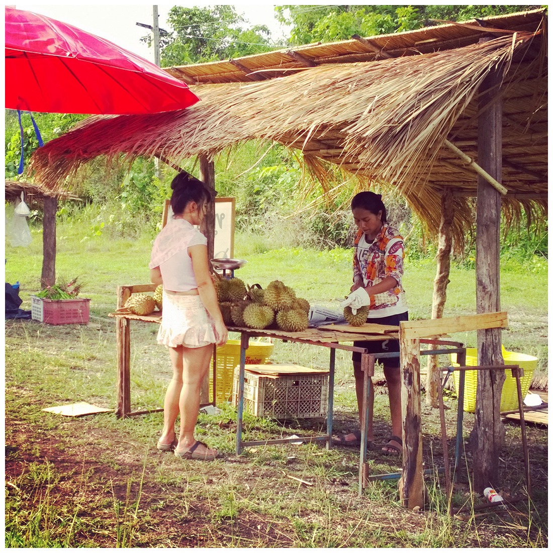 รูปภาพ