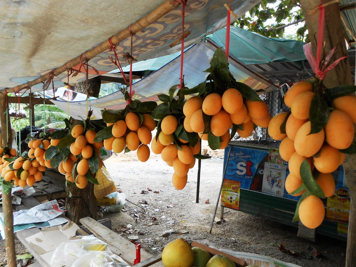 รูปภาพ