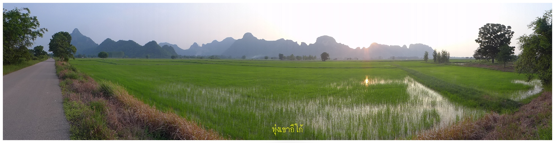 รูปภาพ