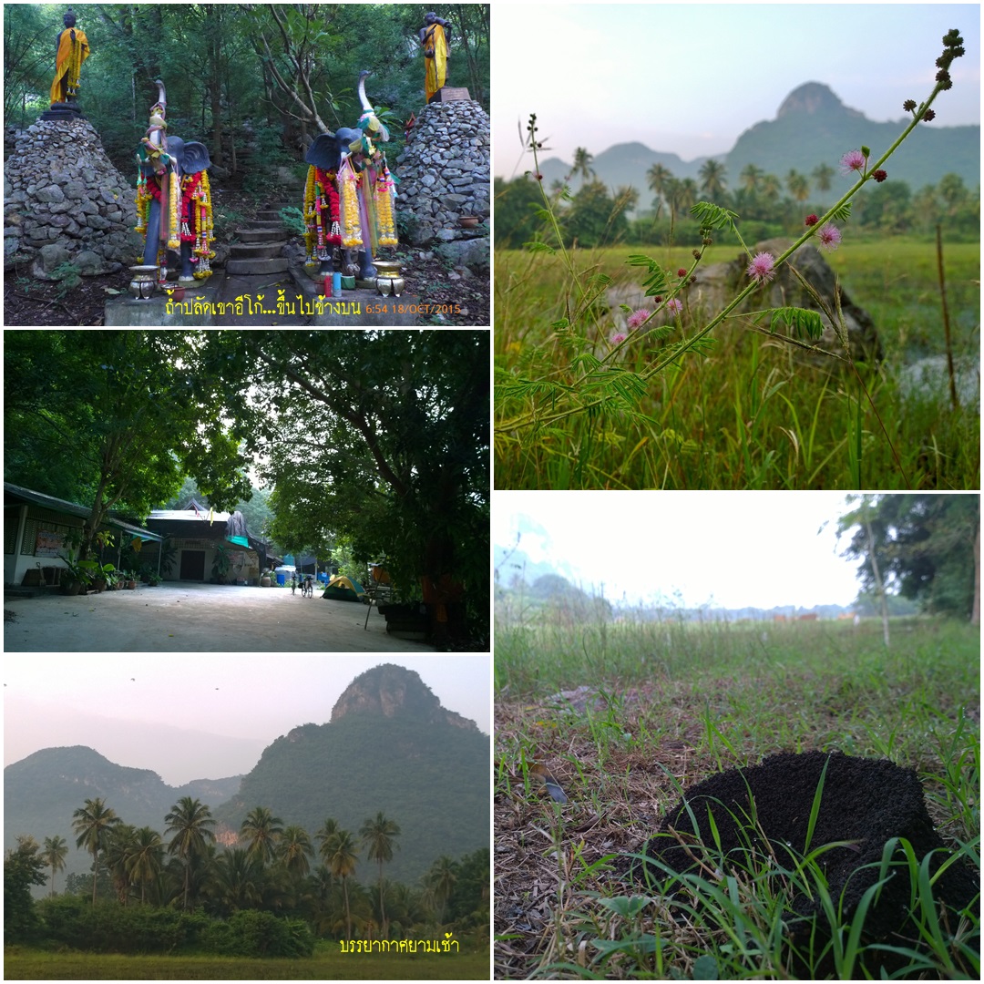 รูปภาพ