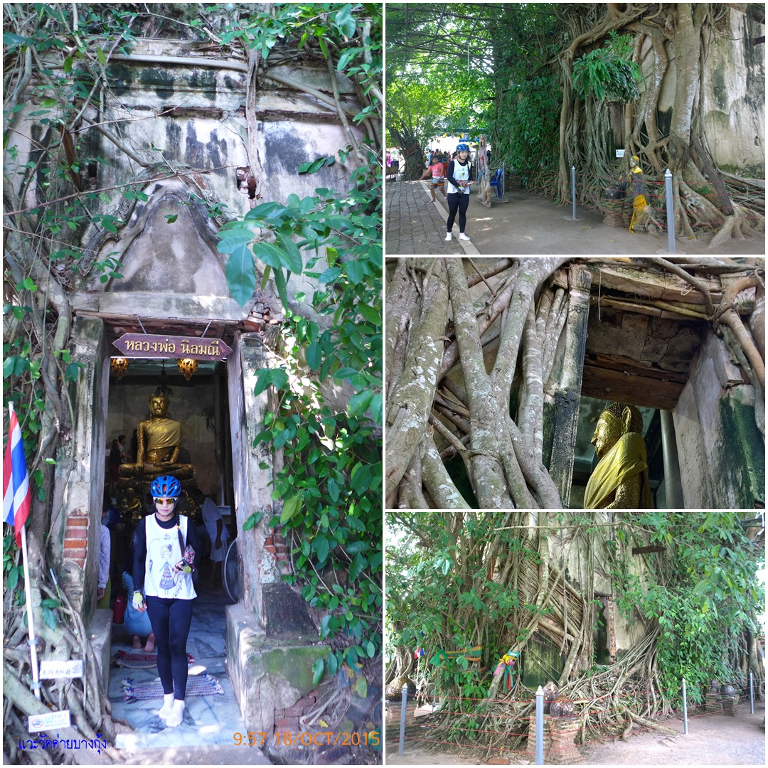 รูปภาพ