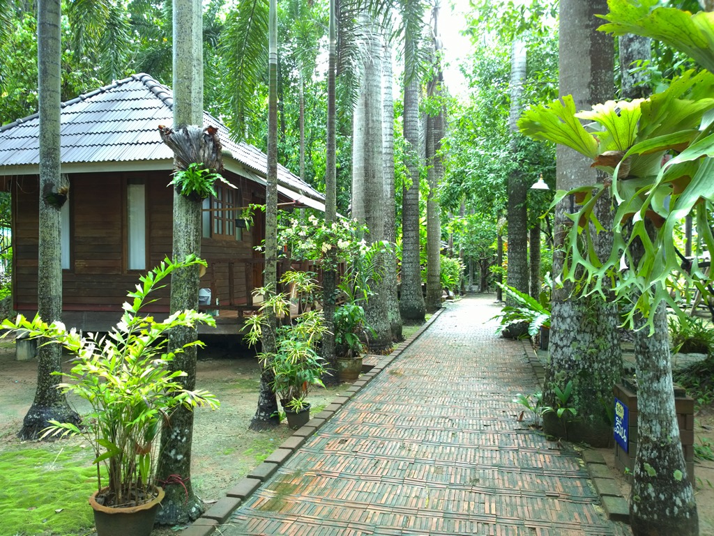 รูปภาพ
