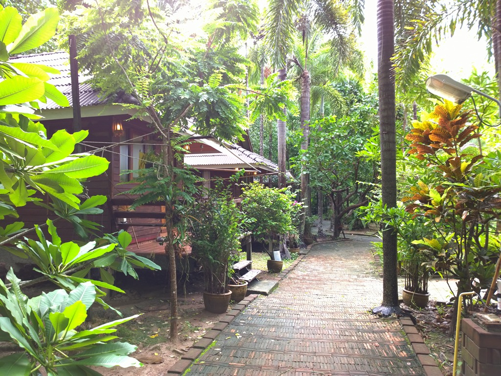 รูปภาพ